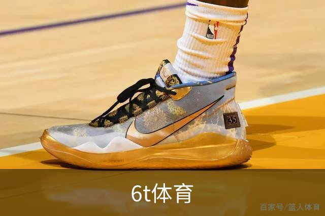 6t体育公司介绍